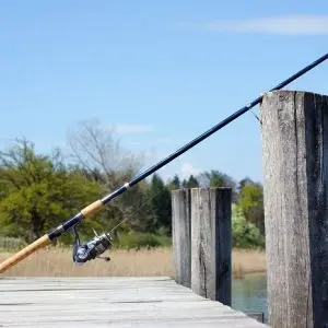 fishing rod 326843 1920 1
