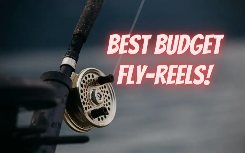best fly fishing reels for the money