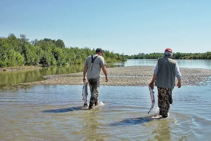 Best Time To Fish For Salmon