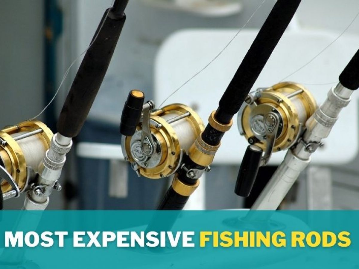 most expensive fishing reels in the world Today's Deals - OFF 61%