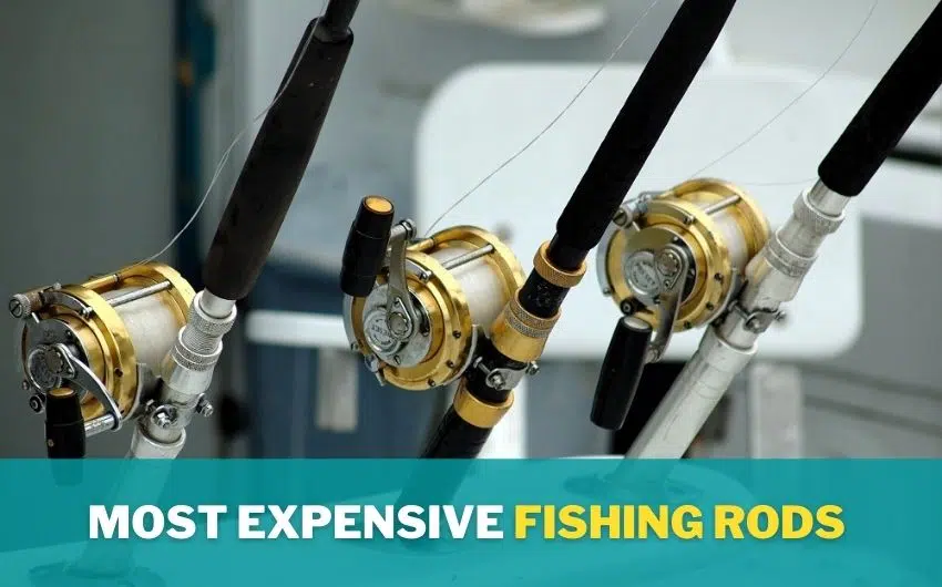 Most Expensive fishing rods