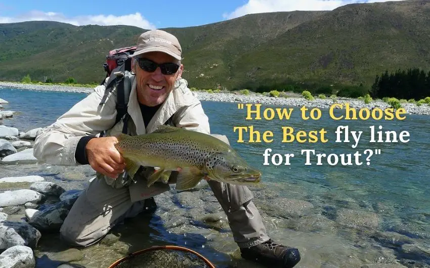 best fly fishing line for trout