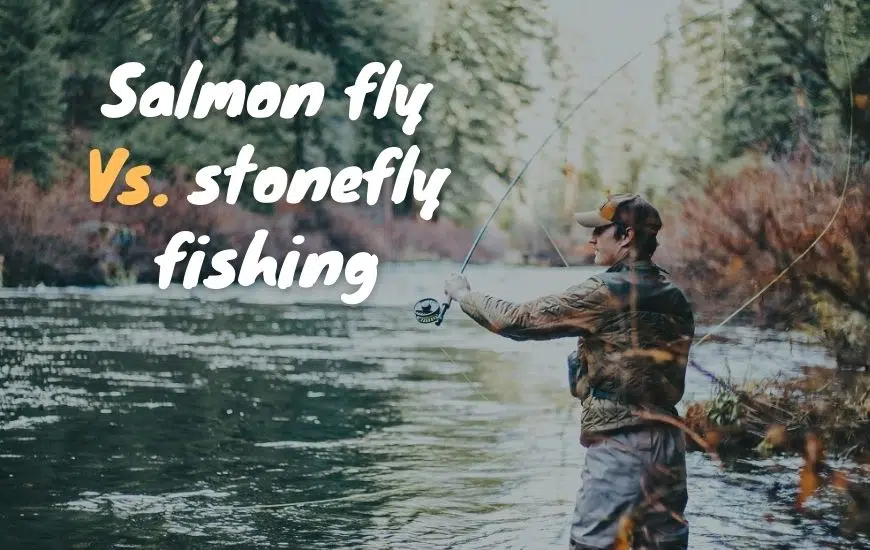 salmon fly fishing