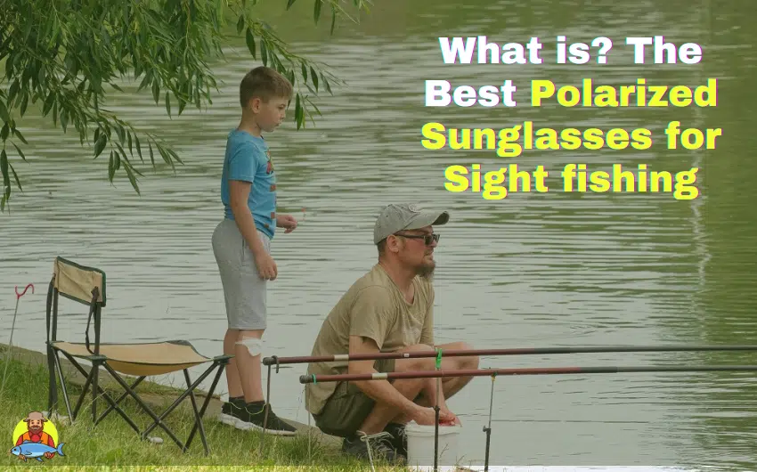 best polarized sunglasses for sight fishing
