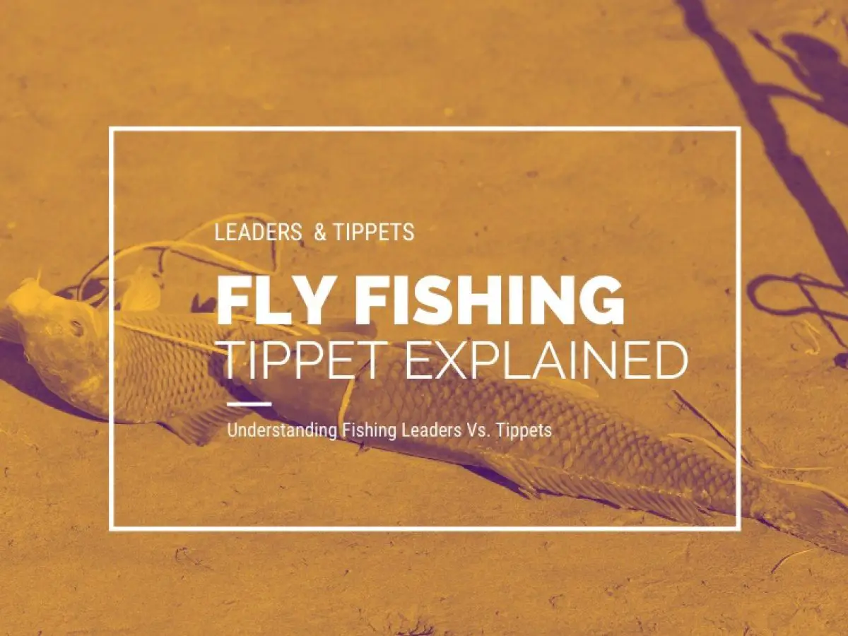 Maxcatch Fluorocarbon Leader Tippet Line for Fly Fishing with Tippet Line Holder 