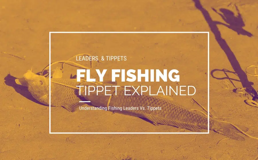 fly fishing tippet