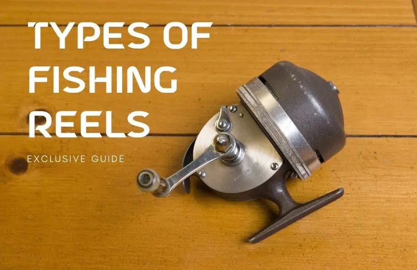types of fishing reels