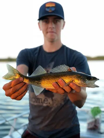 Walleye fishing