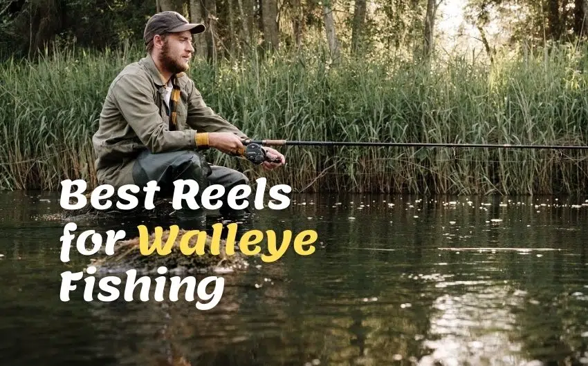 best reel for walleye fishing