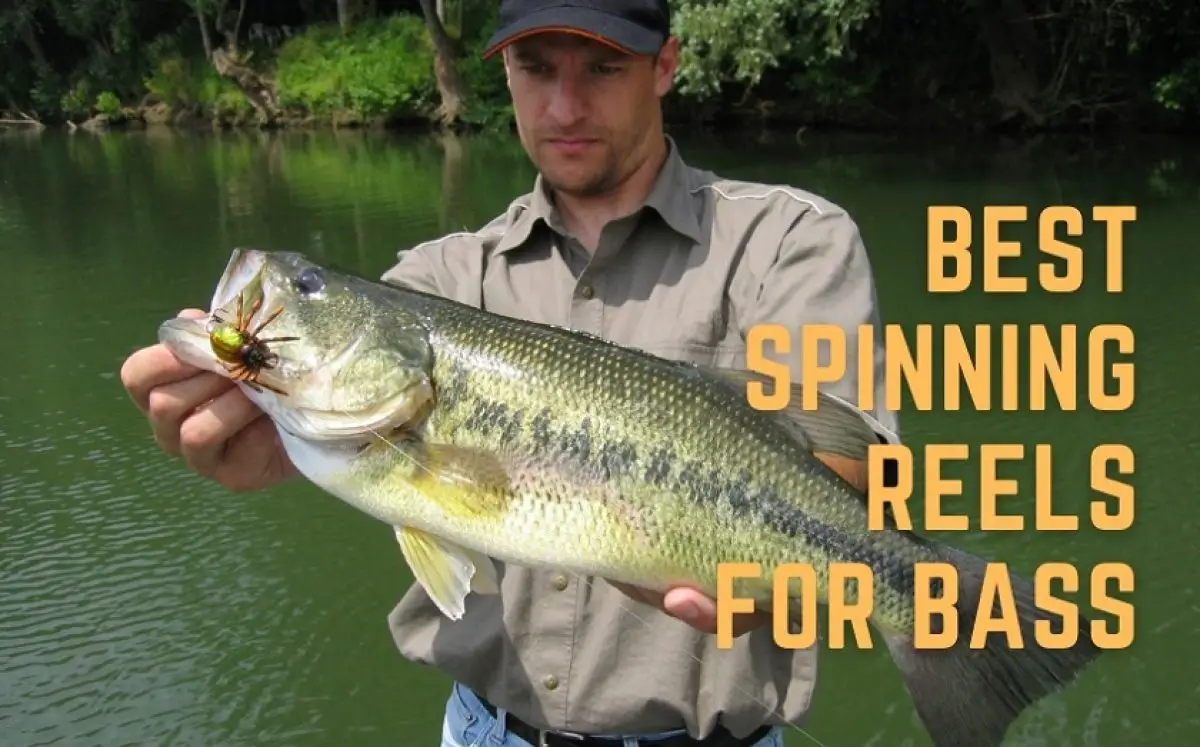 best spinning reel for bass and crappie