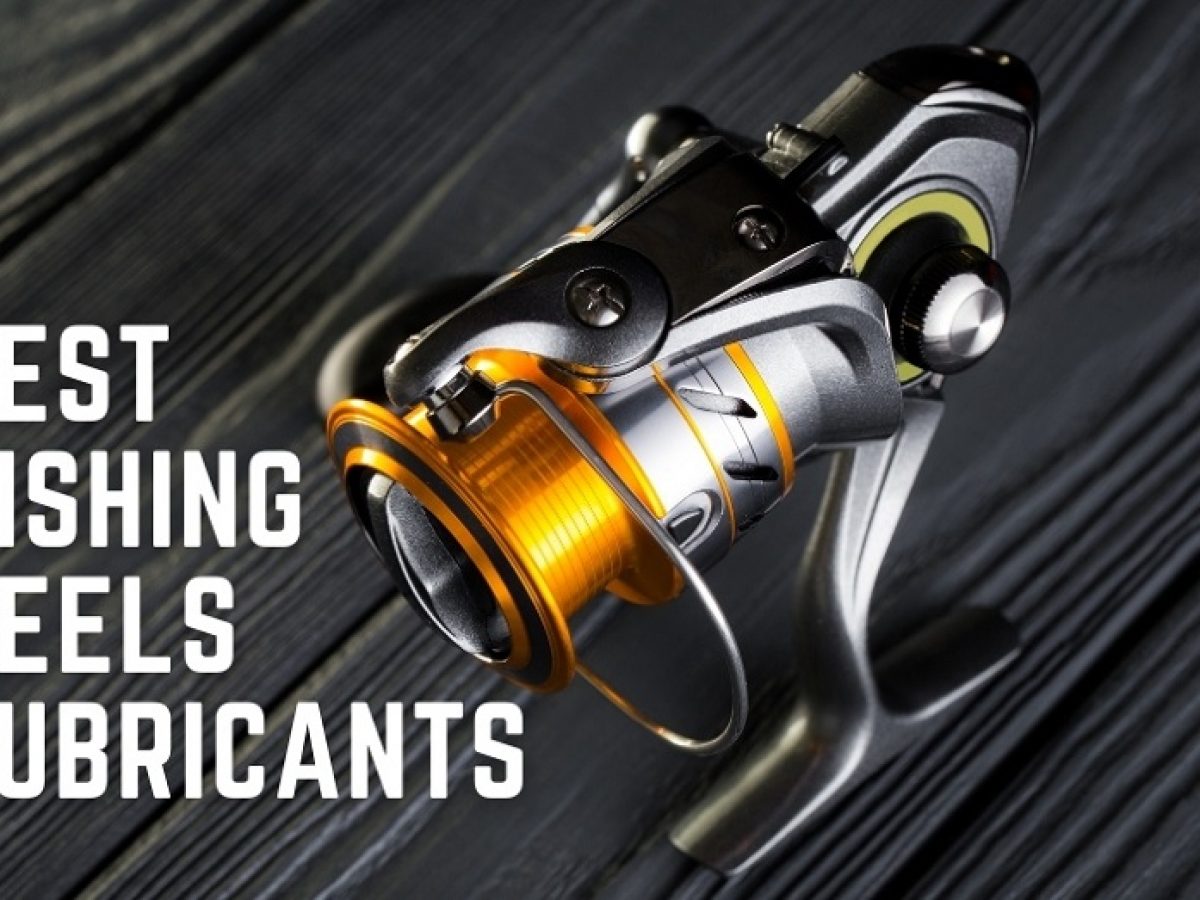 DENGNI Lubrication Grease Fishing Reel Maintenance Lubricant Wheel Oil Mineral Bearing Gear Supplies