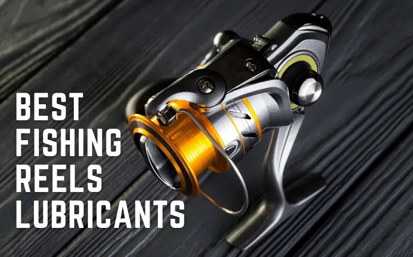 What kind of grease for fishing reels (2021 Top picks)