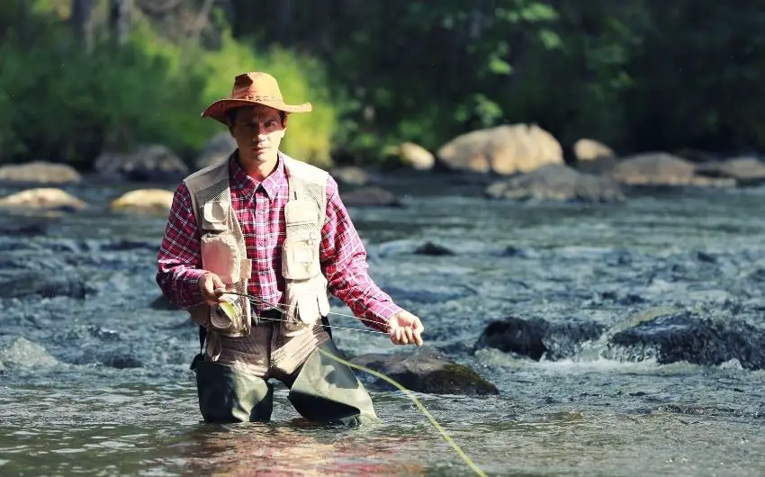 How to fish for trout in a stream