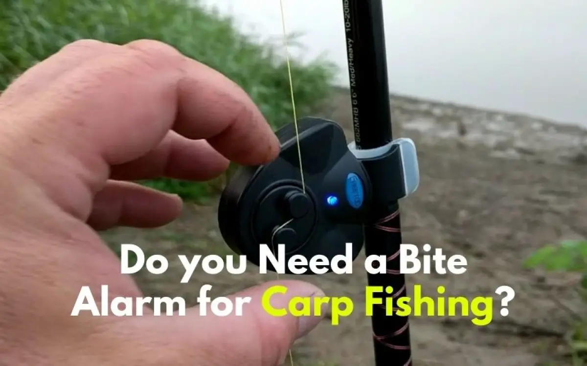 Wireless Bite Alarm Combo Set with Carry Box 3 Bite Indicators Bank Carp Fishing Wireless Bite Alarm Combo Set with Carry Box 3 Bite Indicators Bank Carp Fishing