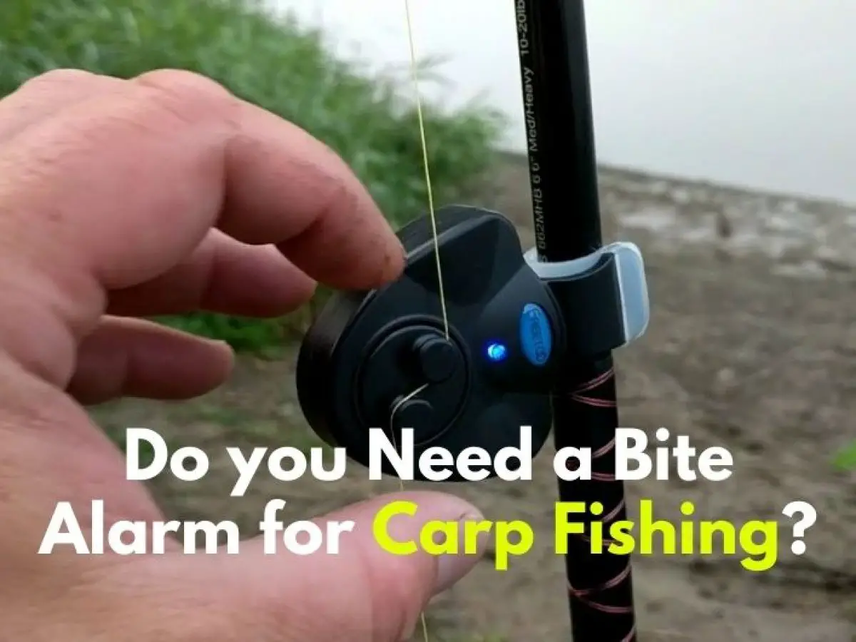 3 Adjustable Fishing Tackle Rod Rest & 3 Bobbins Indicators For Bite Alarms Pods 