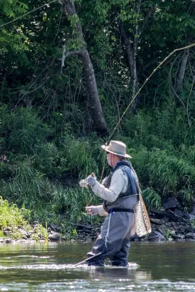 Trout Fishing Basics