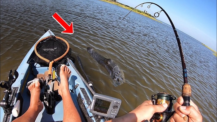 alligator overturn a kayak