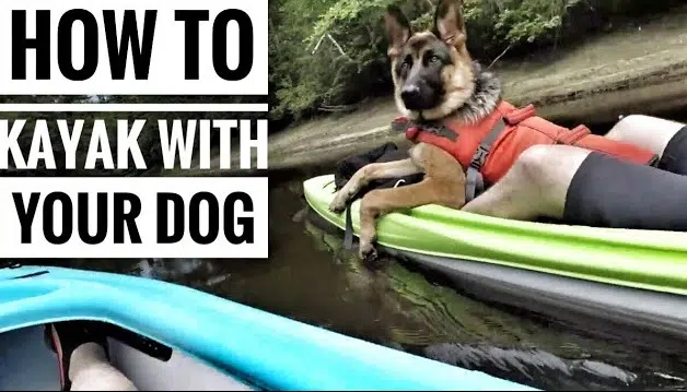 how to kayak with your dog