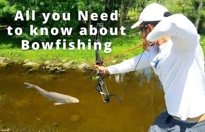 Bow Fishing