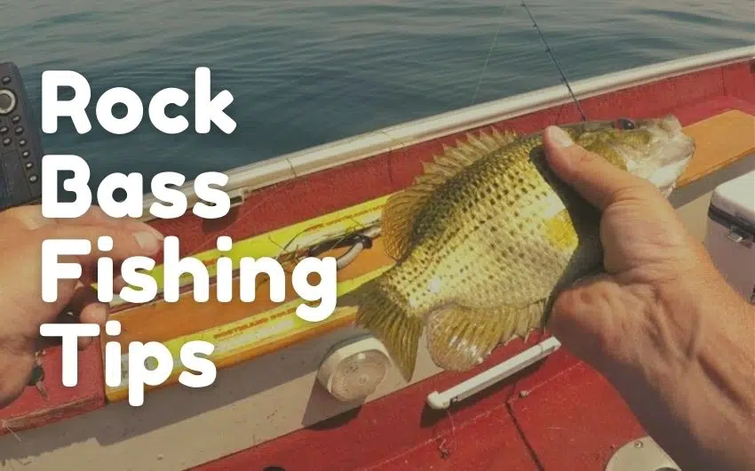 RockBass Fishing
