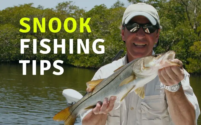 Snook Fishing tips