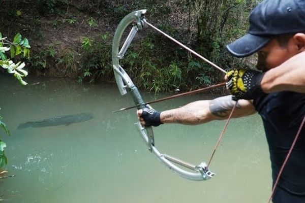 crossbows for fishing