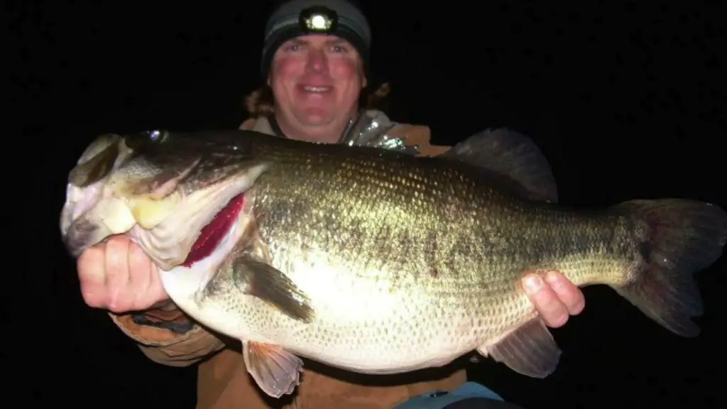 nighttime fishing