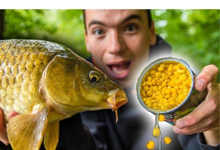 carp fishing