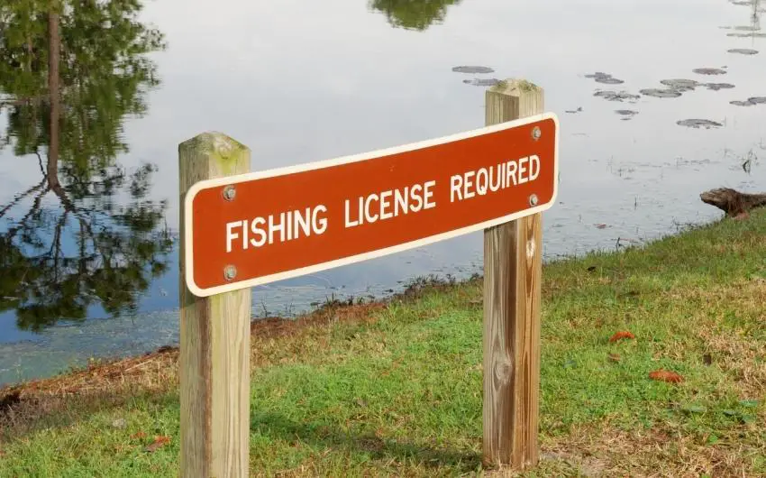 How long does it take to get a fishing license