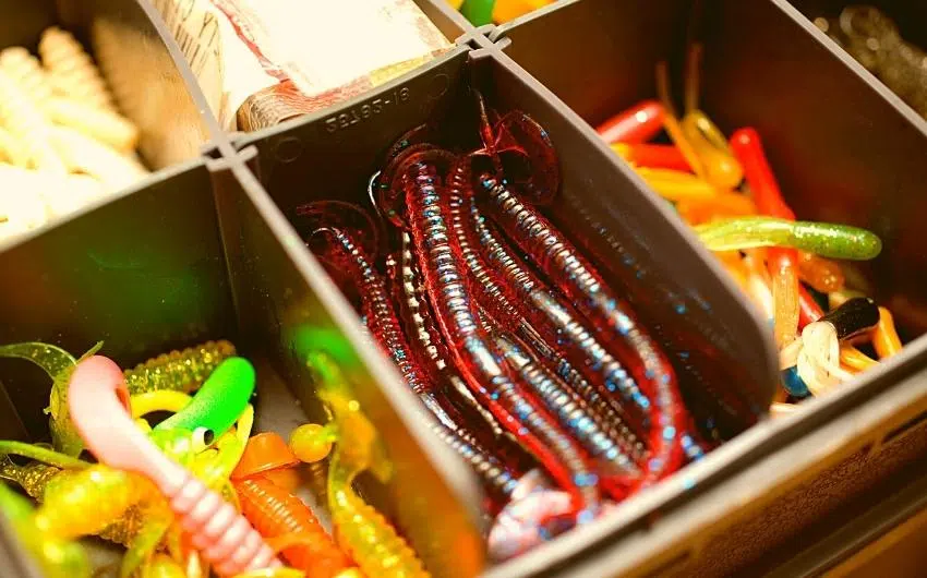best rubber worms for bass