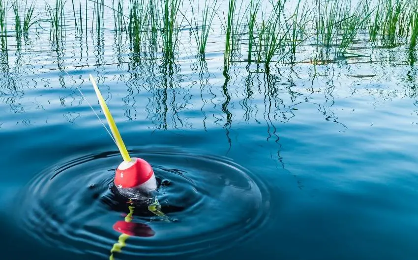 use a bobber when bass fishing