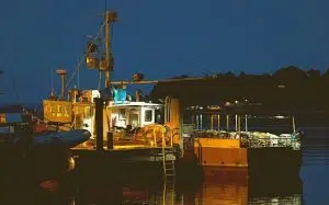 boat lights for night fishing