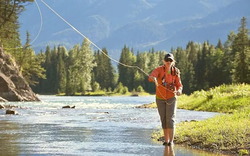 What kind of fish do you catch fly fishing