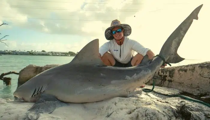 shark fishing Florida