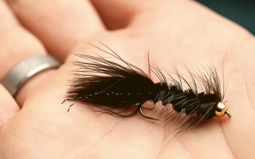 what size wooly bugger for trout