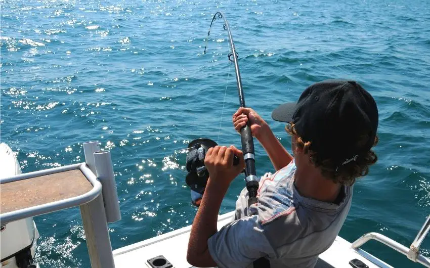 fishing rods for sharks