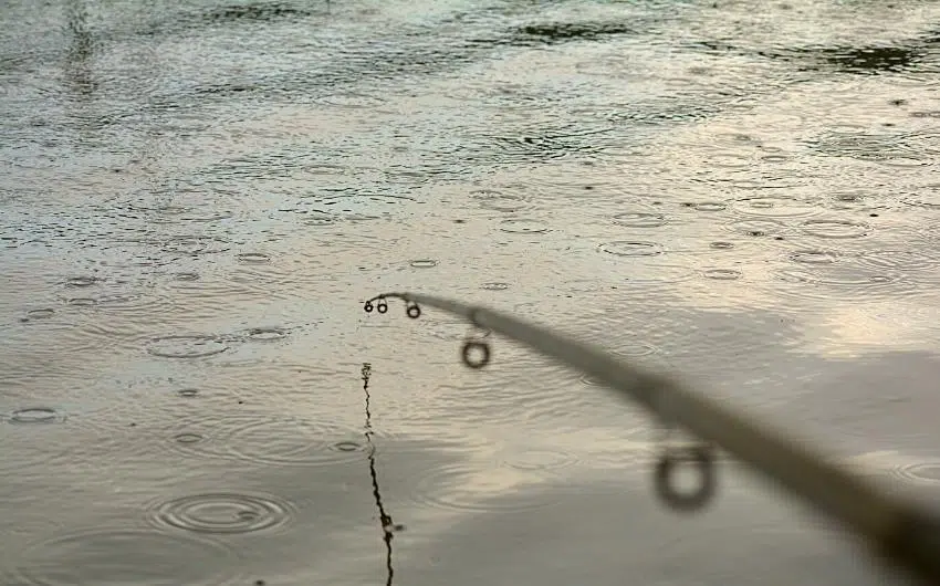 Is It Good to Fish in the Rain? Quick Answers (Must-Read)