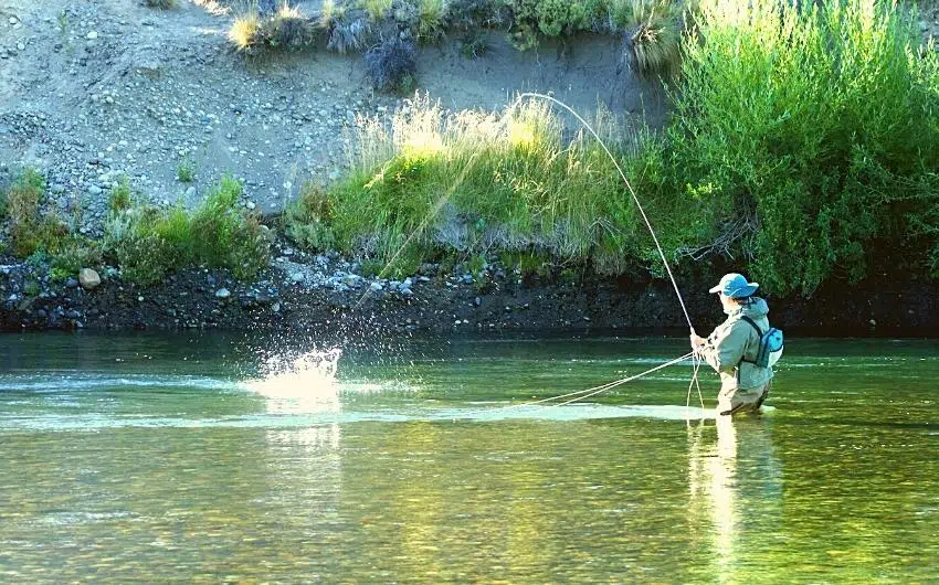 Why Is It Called Fly Fishing