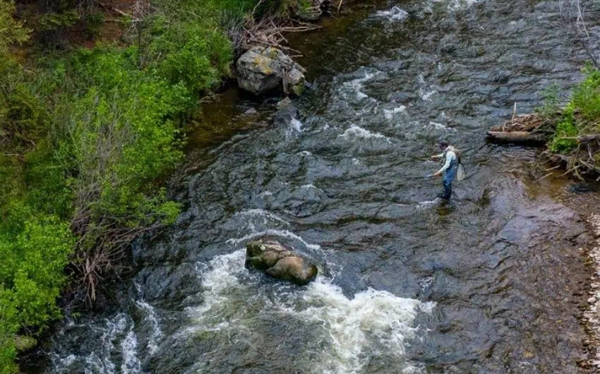 best time to fly fish in colorado