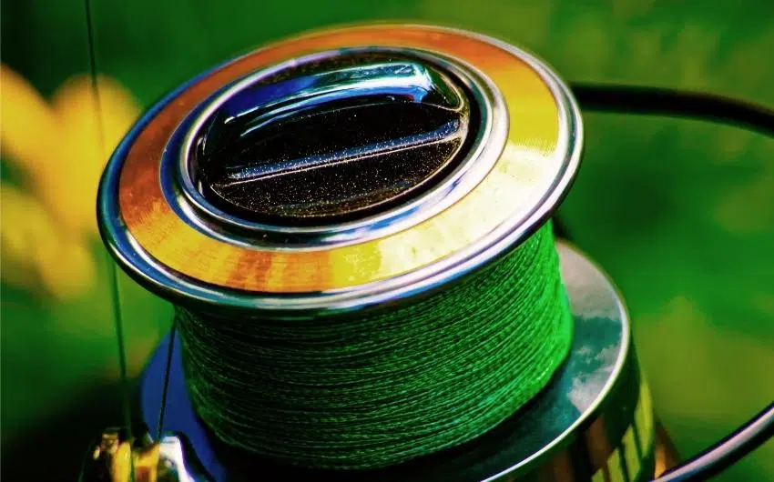 does fishing line color matter