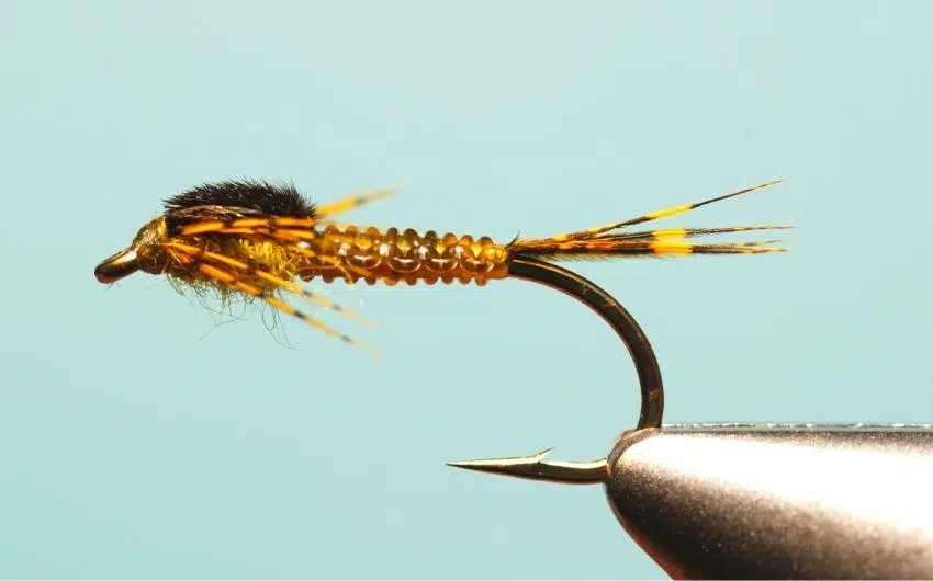 how to fish a damsel fly nymph