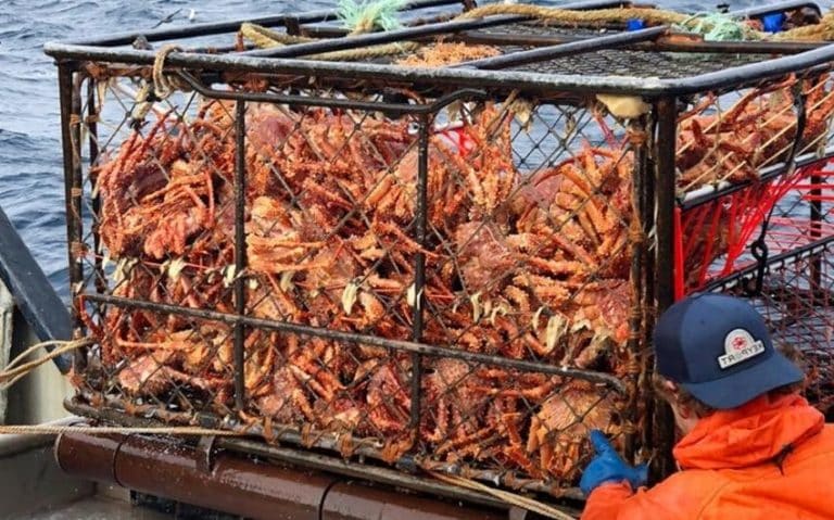 How Long Is Alaskan Crab Season? King Crab (Complete Guide)