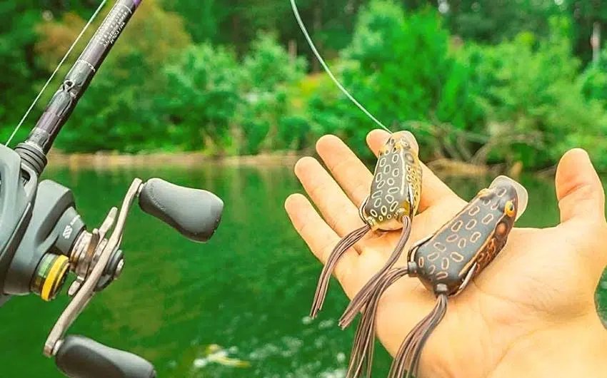 frog lures for bass