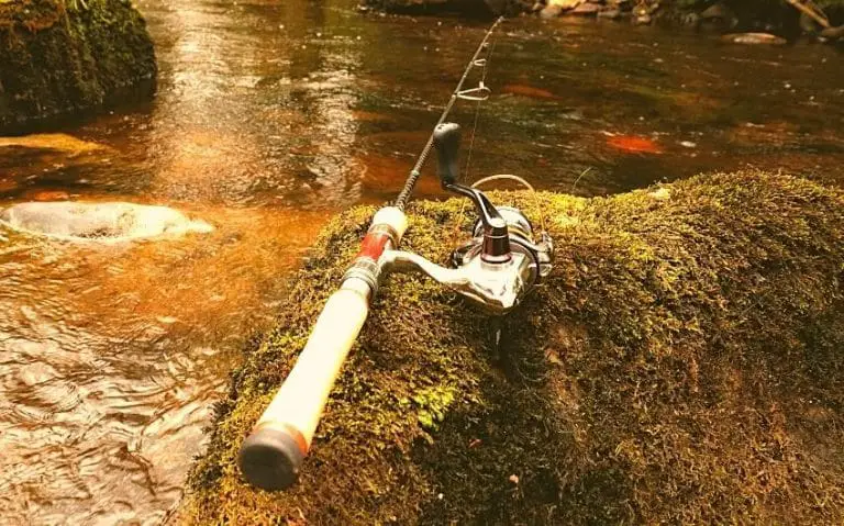 light-vs-ultralight-rod-for-trout-what-s-the-difference