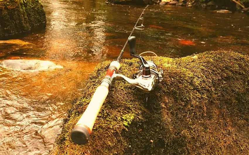 light vs ultralight rod for trout