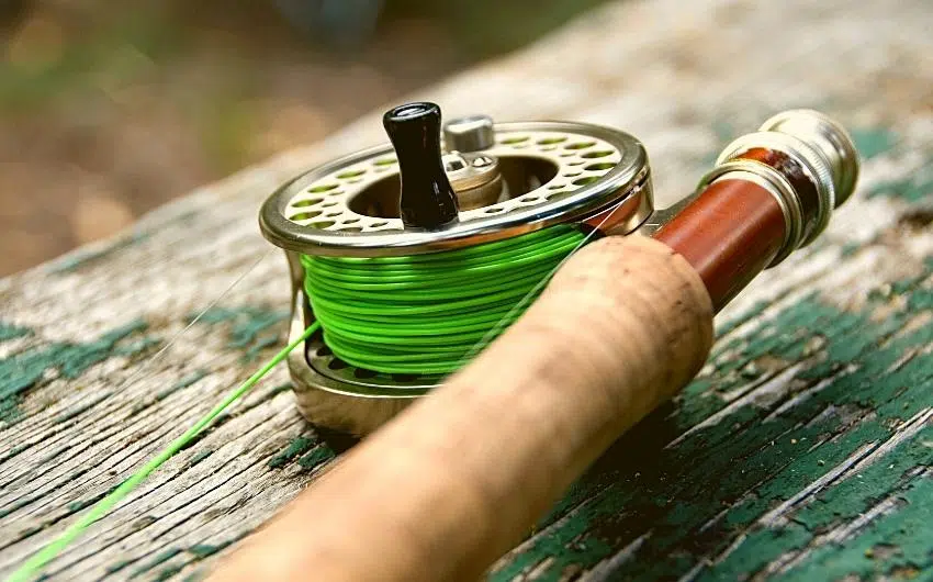 how often should braided fishing line be replaced