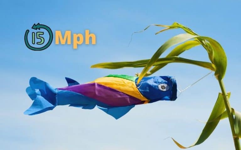 is-15-mph-wind-strong-for-fishing-best-spots-tips-more