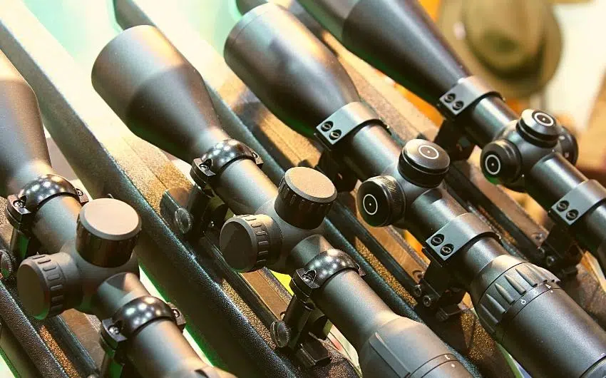 what should you check before choosing a firearm for hunting