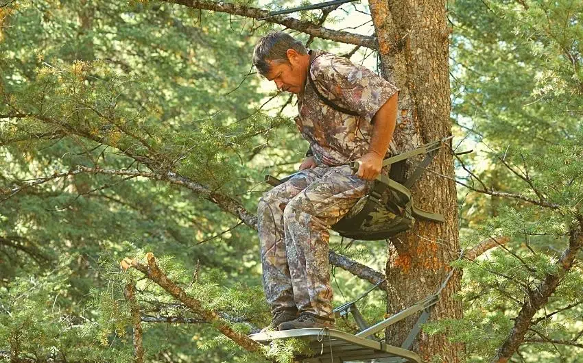 when should a hunter wear a fall arrest system