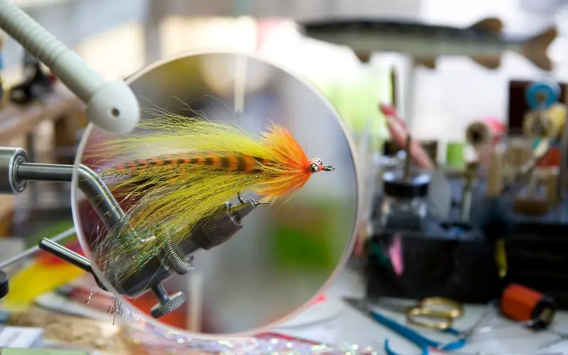 Best Fly Tying Kit for Beginners